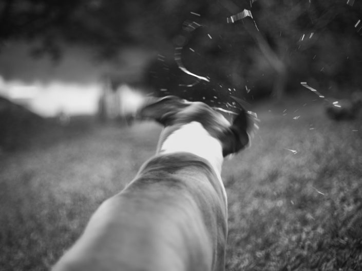 Entre instantes